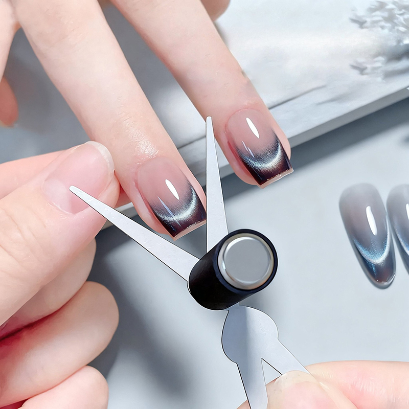Double Headed Nails Magnet Fre - Nail Gel Polish Set 评论和价格
